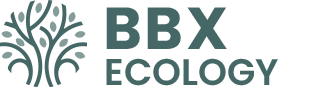 BBX ECOLOGY